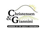 Christensen & Giannini, LLC